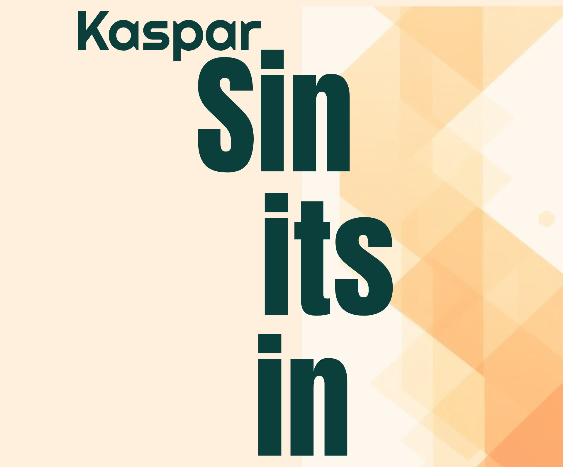 Kaspar Sinitsin Wide Banner
